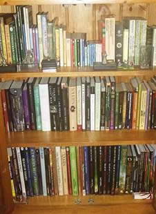 Other Tolkien books