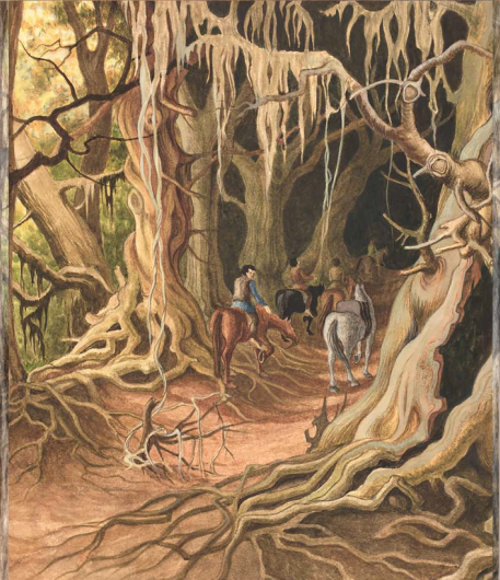 Mary Fairburn - The Old Forest