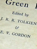 Tolkien academic books